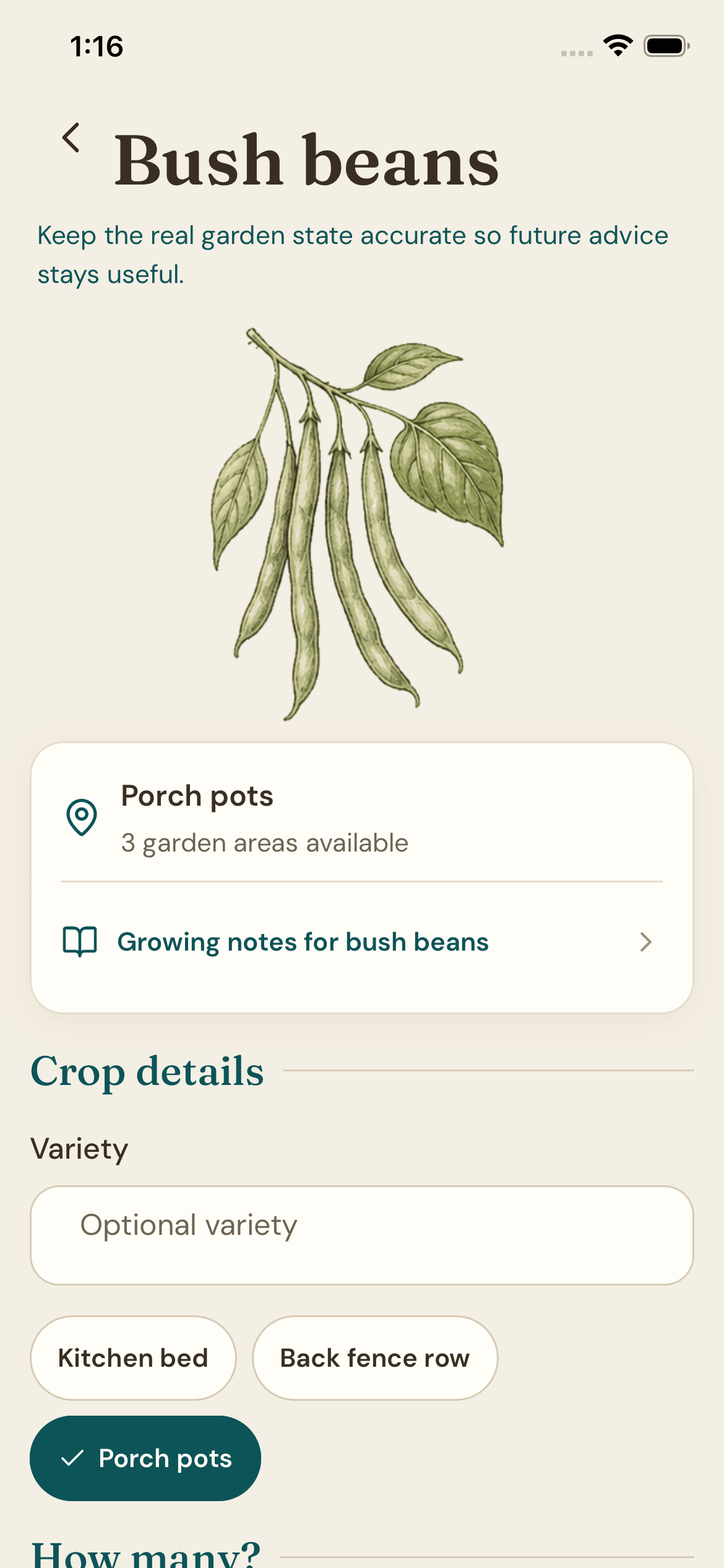 A bush bean crop entry in the Garden Almanac, with a botanical plate and growing notes