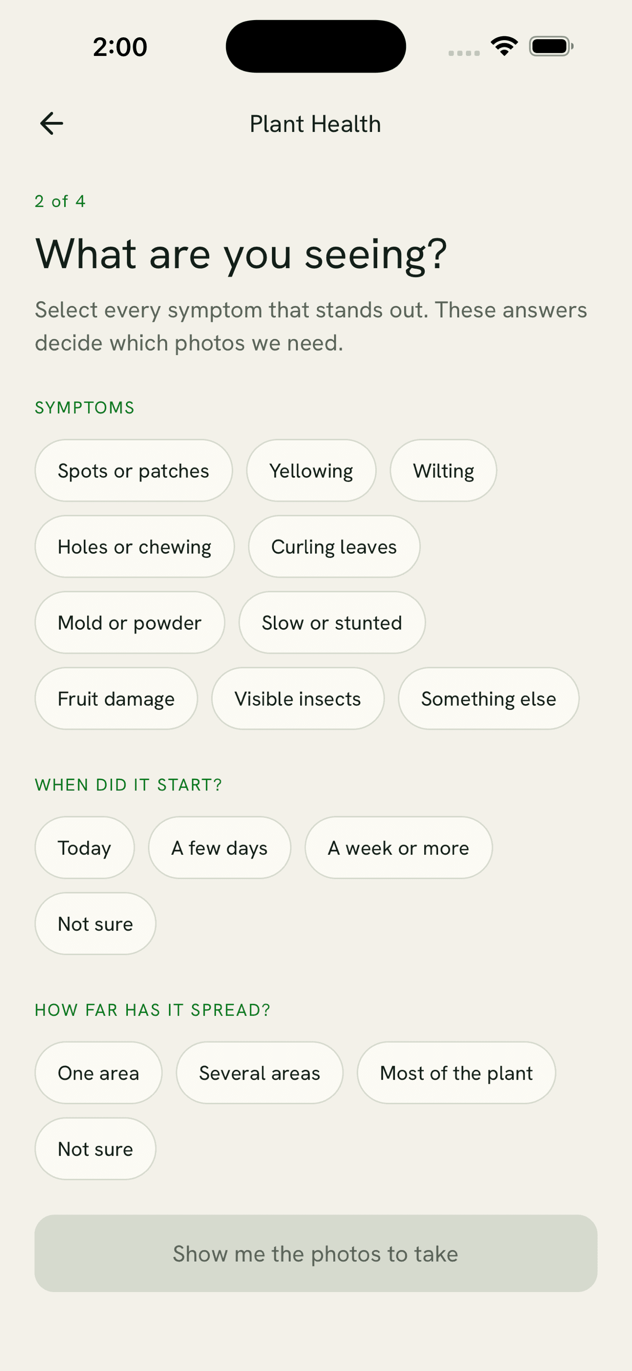 Checking a plant and recording symptoms in Plant Health