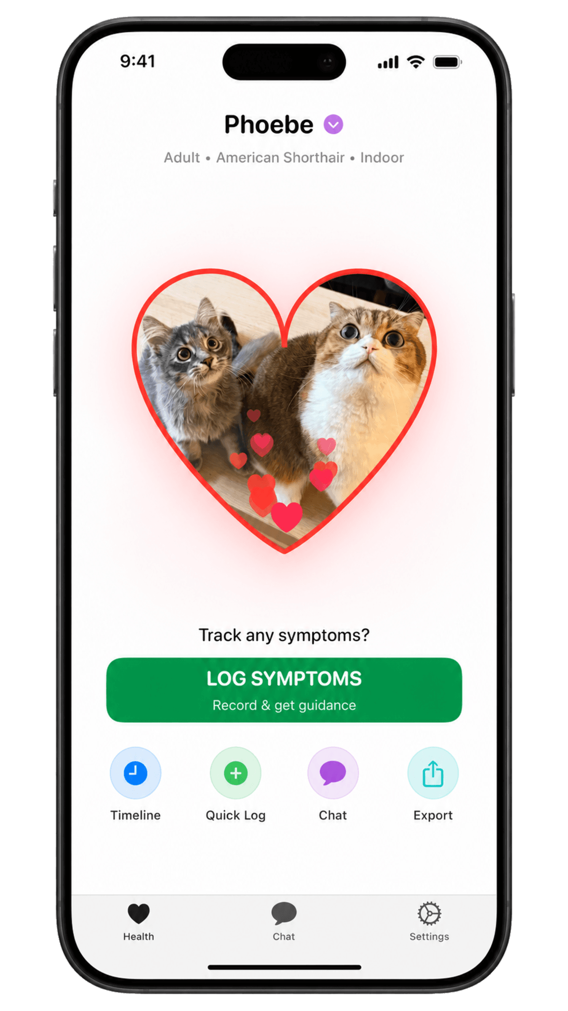 NineLives on iPhone