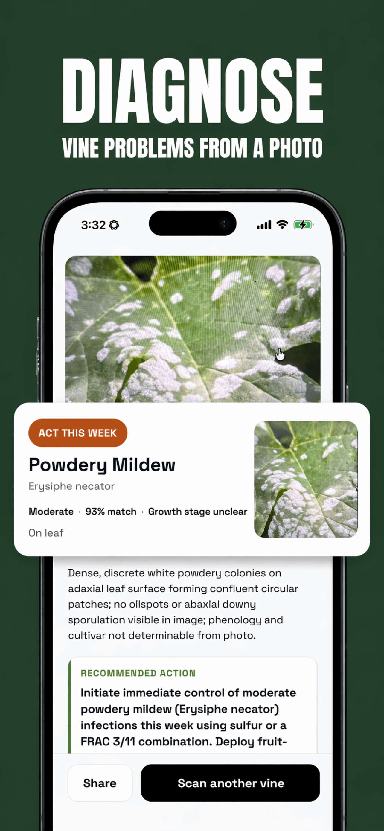 Vine Guard diagnosing powdery mildew from a leaf photo