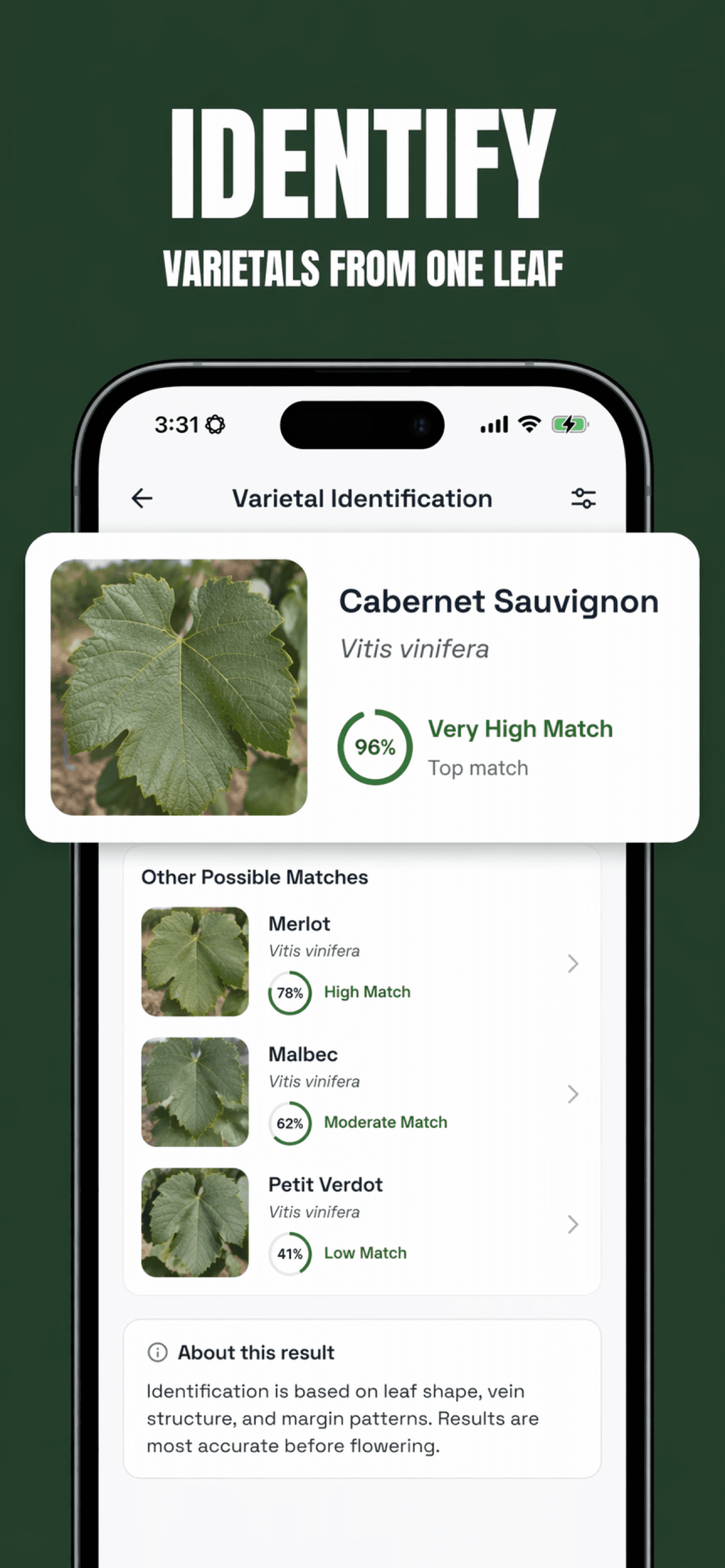 Vine Guard identifying a varietal from a leaf photo